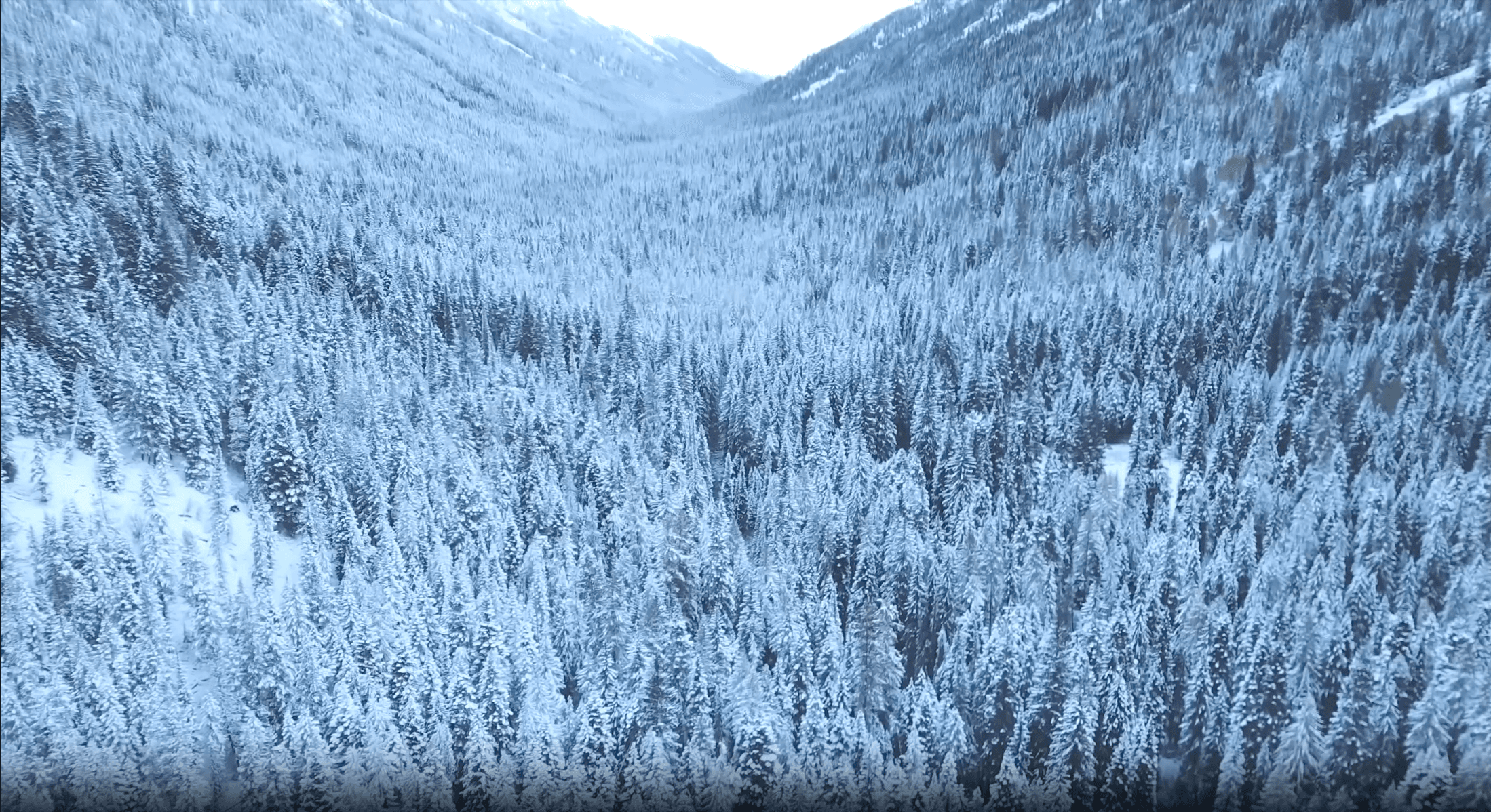 Background placeholder